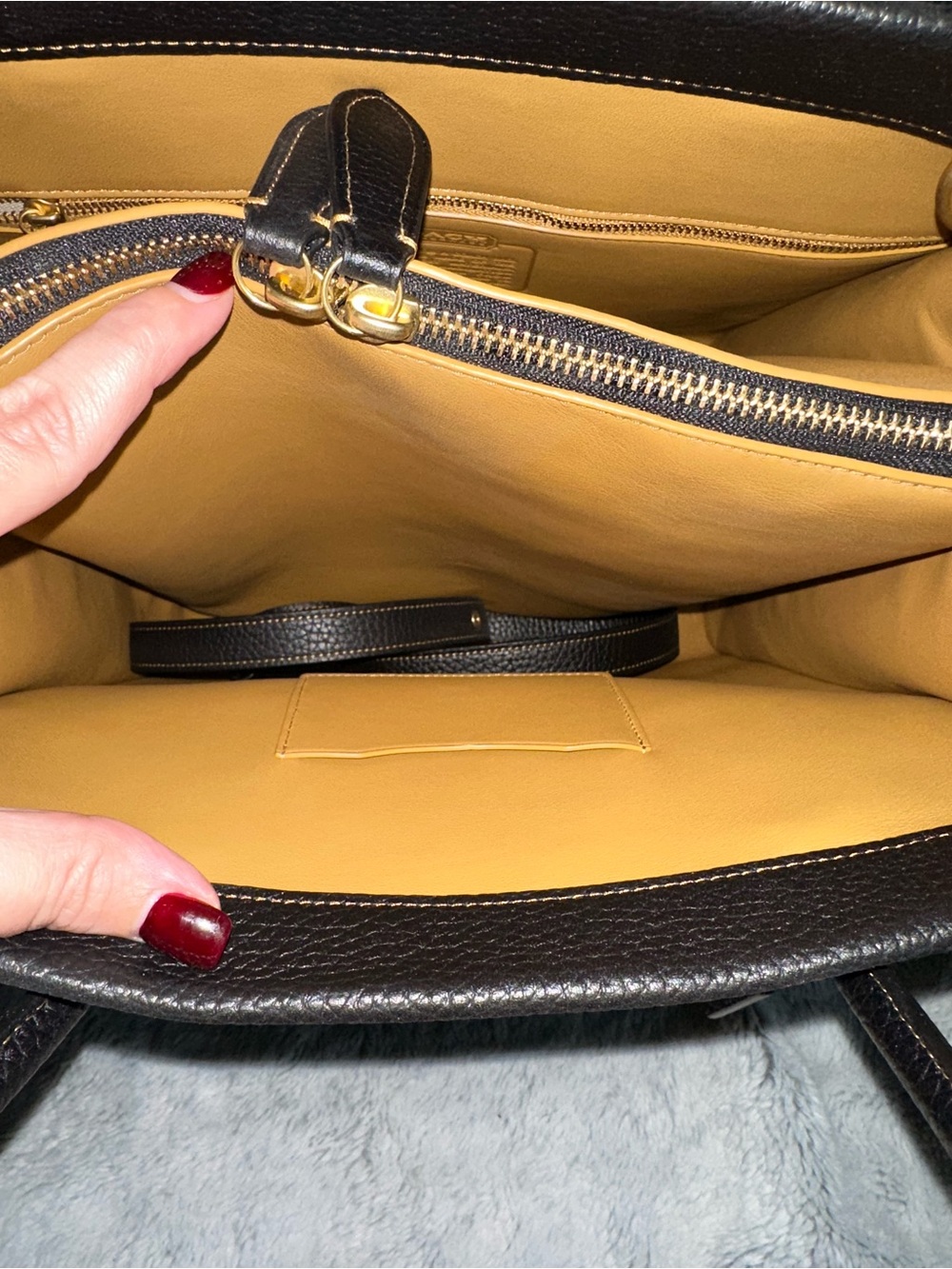 Coach Cashin Carry Tote 29 - Limited Edition - Picture 7 of 15